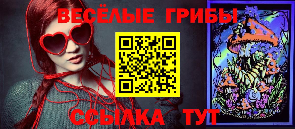 Галлюциногенные грибы Cubensis Кинель